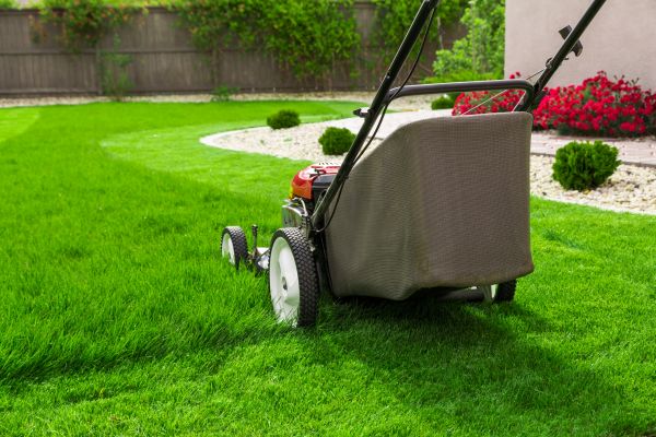 Grass Mowing in Powder Springs