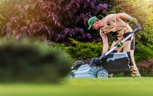 Lawn Care And Maintenance in Powder Springs