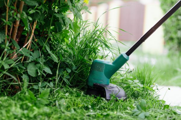Weed Whacking in Powder Springs