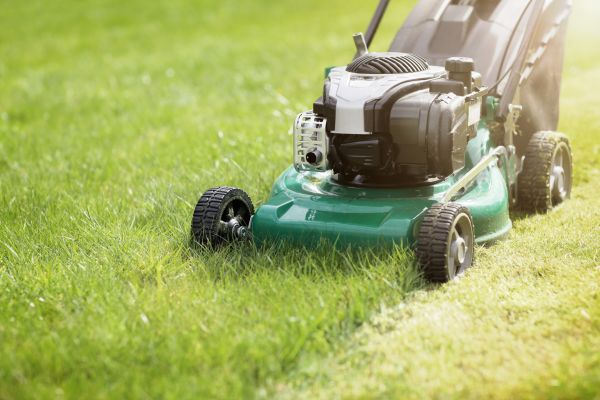 Cost of Yard Cutting in Powder Springs
