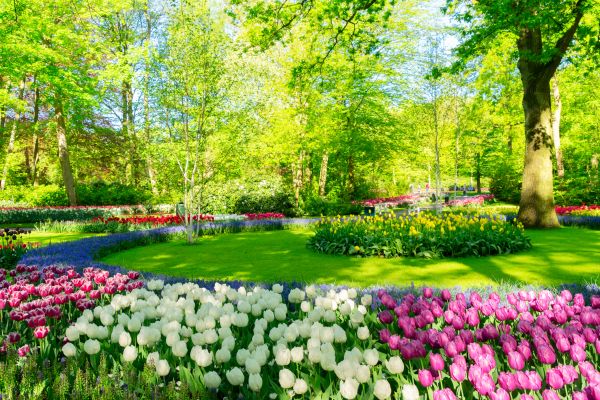 Spring Lawn Care in Powder Springs