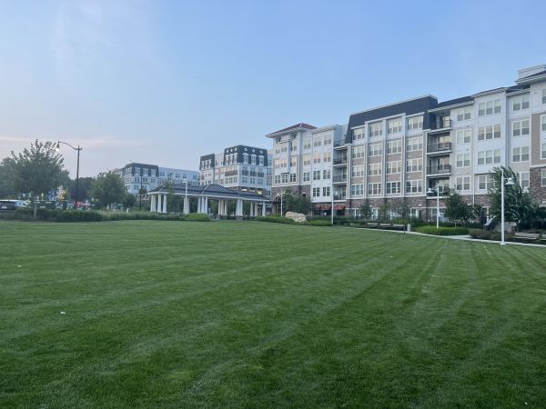 Cost of Urban Lawn Care in Powder Springs
