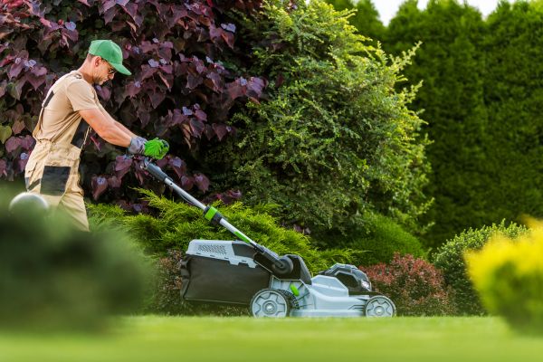 Lawn Management in Powder Springs
