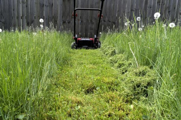 High Grass Mowing in Powder Springs