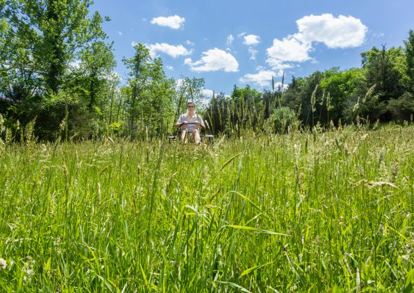 Long Grass Mowing in Powder Springs