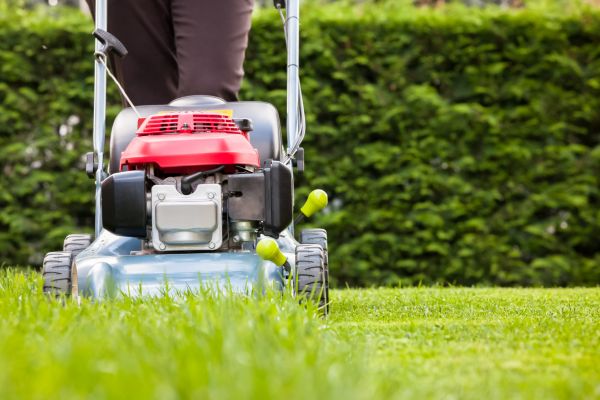 Grass Trimming Service in Powder Springs