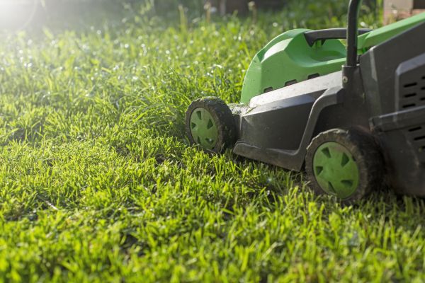 Cost of Lot Mowing in Powder Springs