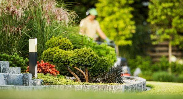 Residential Yard Maintenance in Powder Springs