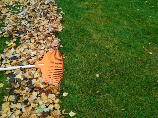 Fall Lawn Care in Powder Springs