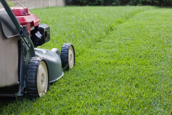 Spring Lawn Maintenance in Powder Springs