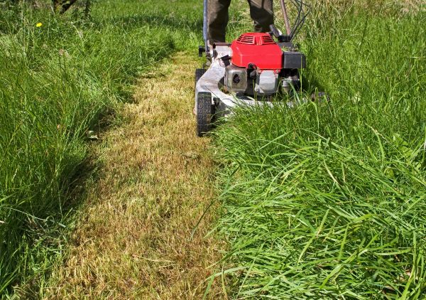 Leaf Mowing in Powder Springs