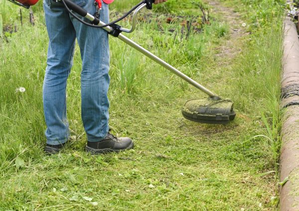 Tall Grass Trimming in Powder Springs