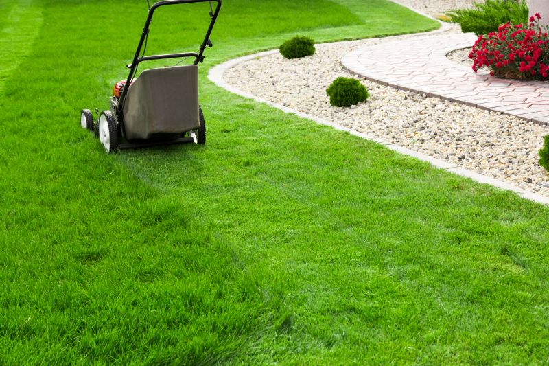 Specialized Lawn Maintenance Services